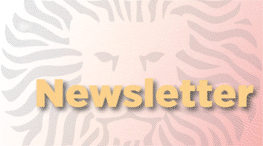 Newsletter - Coordinación de Internacionalización (CI)